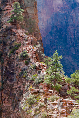 A section of the ridge you climb leading to Angels Landing