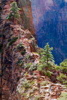A section of the ridge you climb leading to Angels Landing
